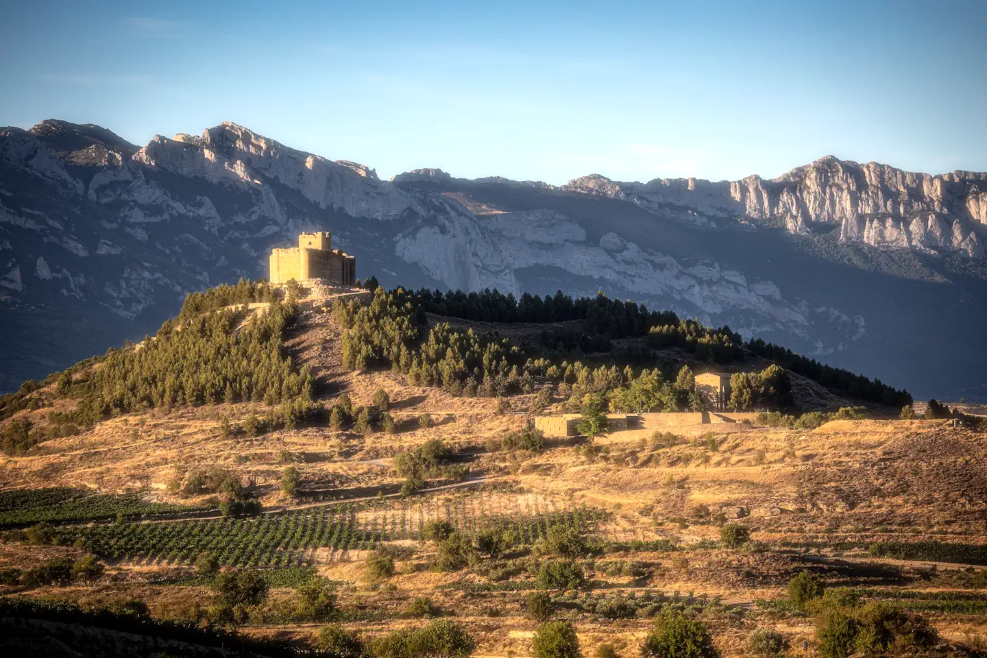 Spanish wine regions