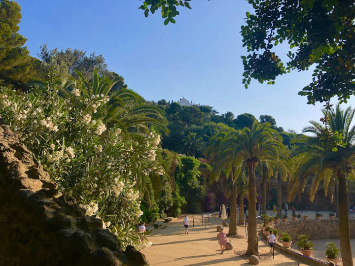 Visit Famous Landmark Park Guell Barcelona During Vacation In Spain