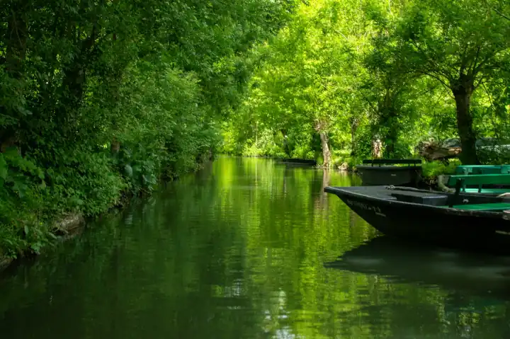 Marais Poitevin Green Venice in France
