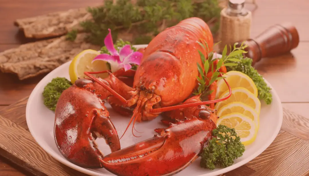 Eat Exclusive Maine Lobster Before An Asteroid Crashes On Your House